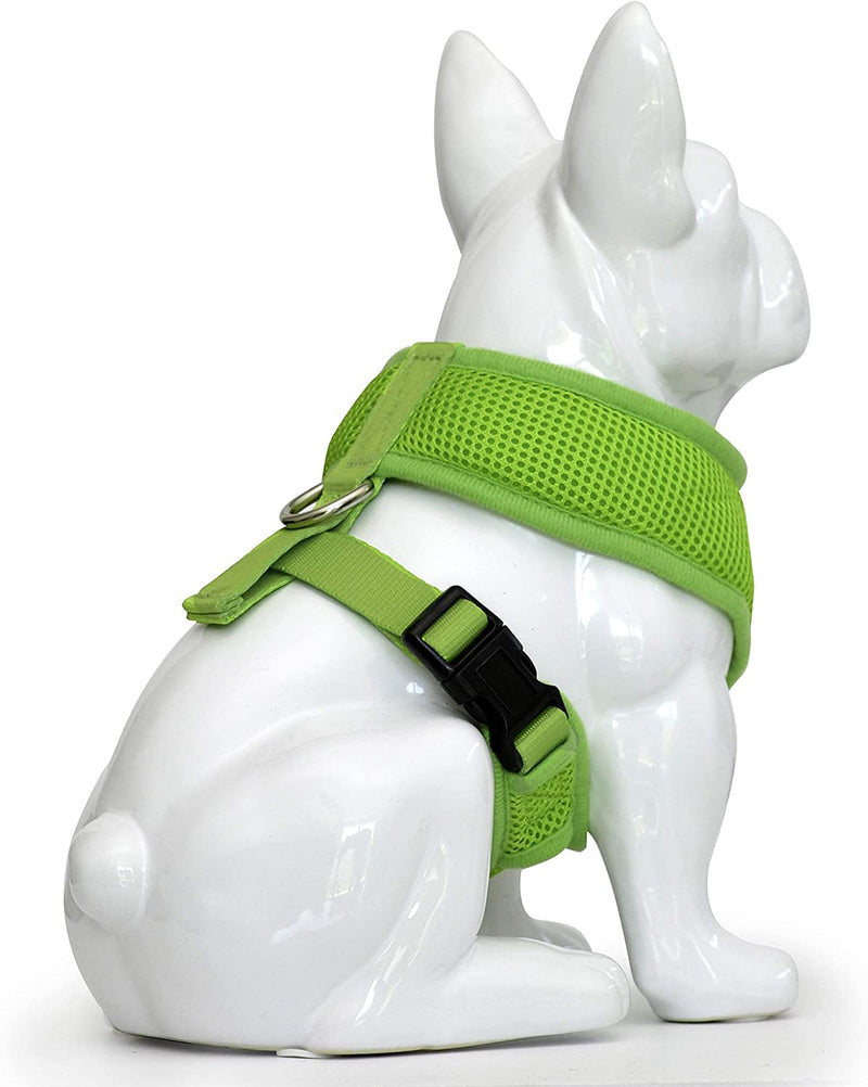 Double Padded Pet Harness, 48-65lbs, X-Large,  Green