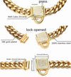 Gold pet Chain Collar 10mm, 8 x 0.39 x 0.16 inches