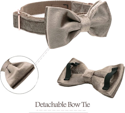 Velvet pet collar with detachable bow, size m, Brown