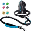 Hands-free professional pet leash with reflective stitches,blue