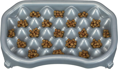 Slow Feed Dog Bowl (2.5 Cup Food/silver Metallic)