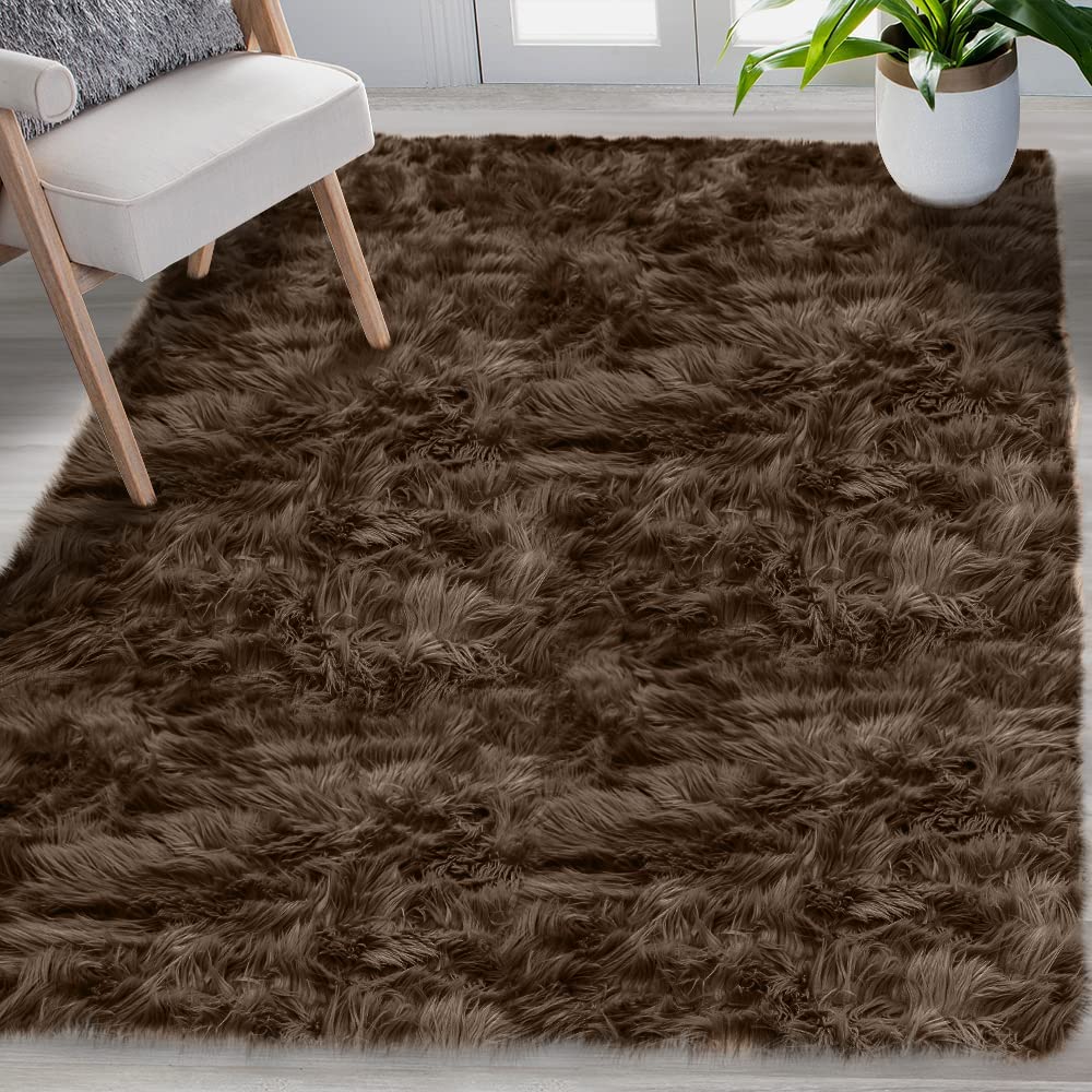 Area Rugs, Indoor Soft, 4x6, colour Chocolate