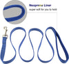 Pet collar and leash set, blue, Medium, Collar 14-20", 3/4"