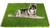 Artificial Grass Pet Potty Mat (32" x 48")