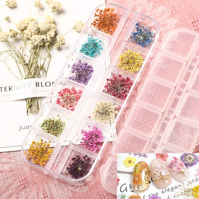 132 pcs 3D Dried Flowers Nail Art Decals, 3 Boxes Colorful