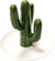 4.5" Glazed Ceramic Ring Dish - Green Cactus