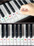 Piano keyboard stickers for 88/61/54/49 keys