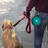 2-Pack portable pet water bowls (green and red)