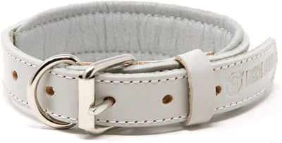 Padded Dog Collar, Small, Fits 10"-12" Necks, Colour: Gray