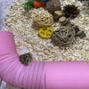 Plastic Tunnel Toys for Hamster, blue color