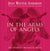 In the Arms of Angels (Paperback)