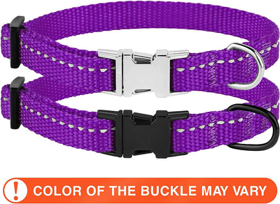 Pet collar with metal buckle, purple, 7-11 Inch