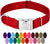 Nylon Pet Collar with Metal Buckle, Medium, Red