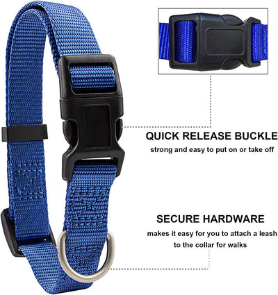 Pet collar and leash set, blue, Medium, Collar 14-20", 3/4"