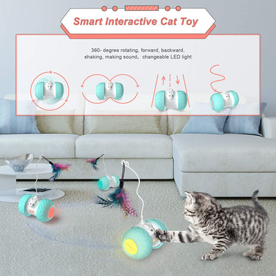 Interactive pets Toys for Indoor