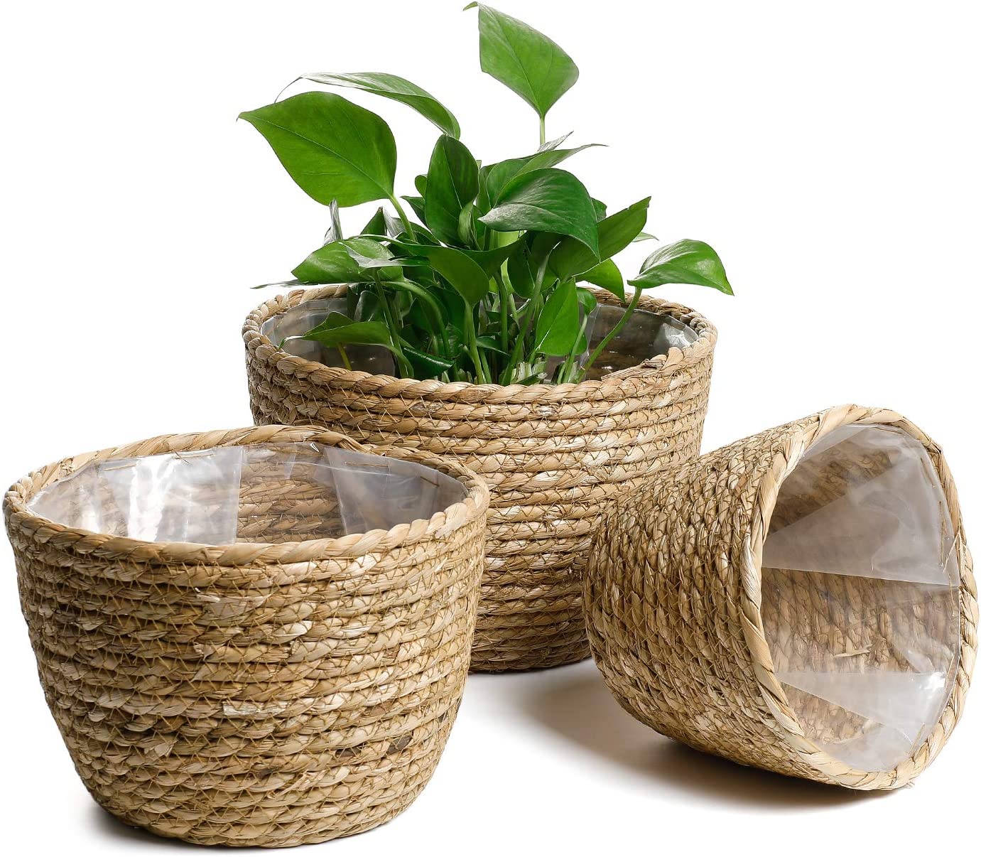 Planter Basket x 3, Woven,Plastic Coated, Brown