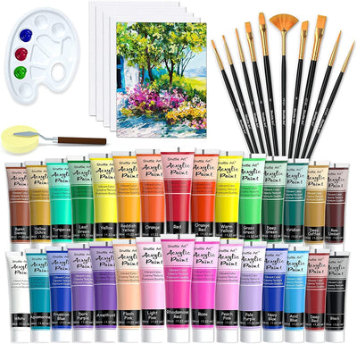 48 Pack Acrylic Paint Set, 10 Brushes 5 Canvas