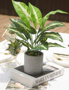 Small Artificial Potted Plants for Home Decor, 16 "