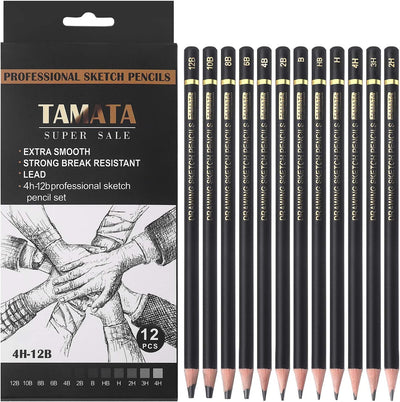 Professional Drawing Pencil Set, 12 Graphite Pencils (12B - 4H)