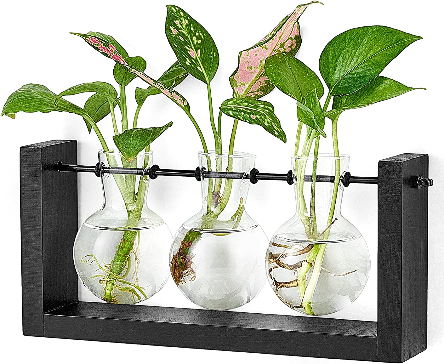 Plant Terrarium with Wooden Stand, 3 Bottle, Black, medium