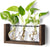 Plant Terrarium with Wooden Stand, Wall Hanging Glass Planter Tabletop