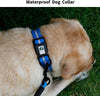 Durable Anti-odor Waterproof Pet Collar, size m, Blue