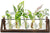 Propagating Indoor Hydroponic Plants Home Office Desk Decor, 5 Bulb Vase