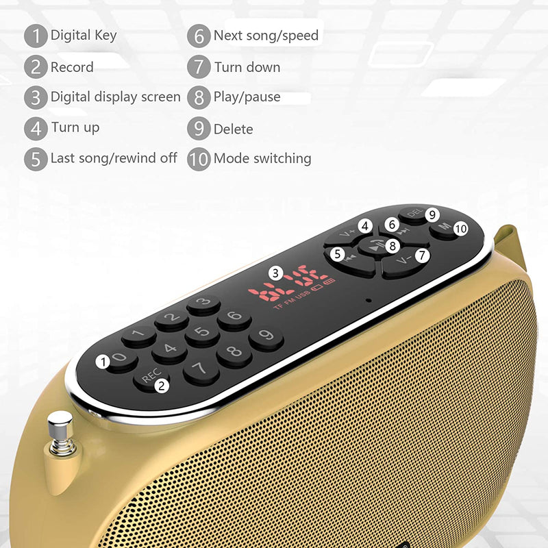 Wireless Radio Bluetooth Speaker, USB Charging, (Gold Color)