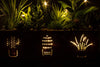 Set of 3 Artificial Succulents with Led Lights in Wooden Box