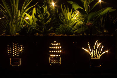 Set of 3 Artificial Succulents with Led Lights in Wooden Box