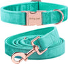 Velvet Pet Collar and Leash Set, Size m, Lake Green