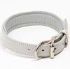 Padded Dog Collar, Small, Fits 10"-12" Necks, Colour: Gray