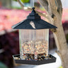 Hanging bird feeder