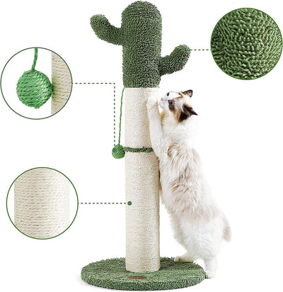 Cactus Pet Scratcher with Ball, 25.6, 34" Height