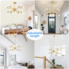 10-light chandeliers, gold brushed brass