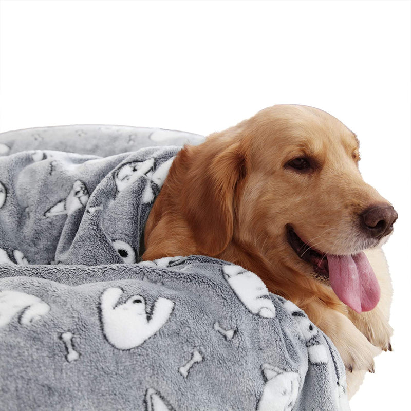 Plush pet blanket with cute print design, of 24 x 32 inch, grey