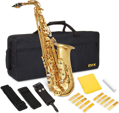 E-flat Alto Saxophone Beginner Kit Brass Mouthpiece Gold Color