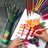 36 Professional Oil-Based Artist Drawing Colored Pencils