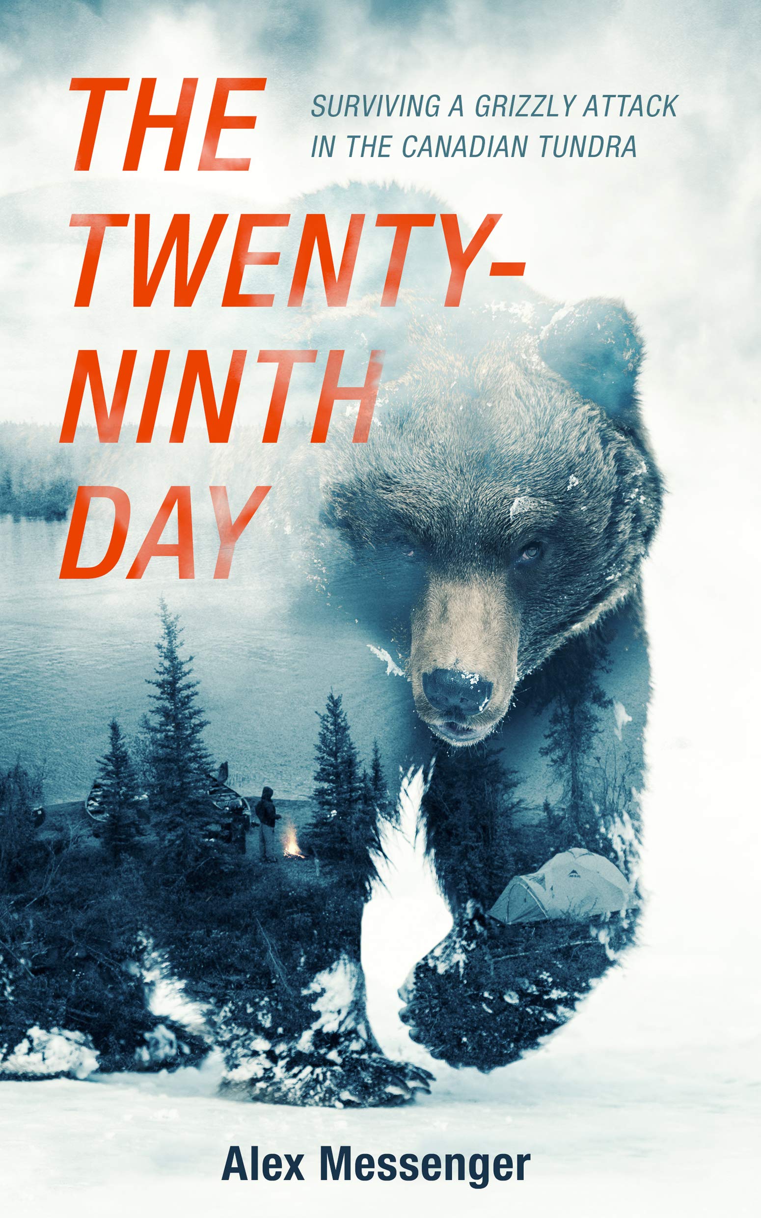 The Twenty-Ninth Day, Hardcover