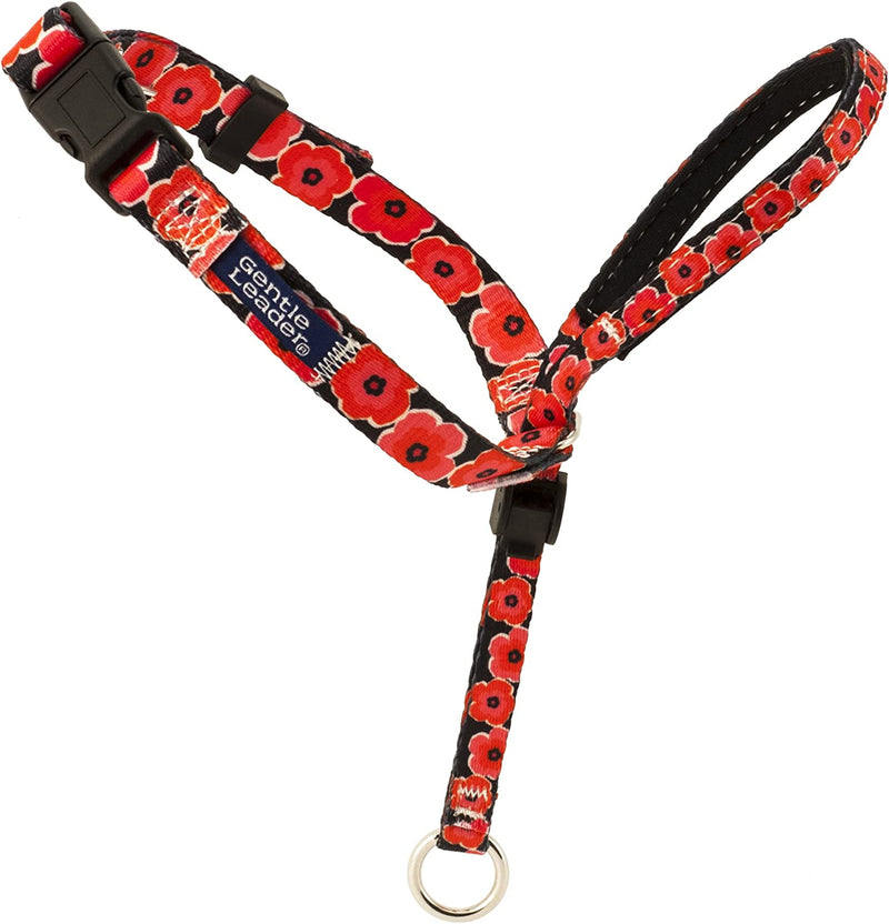 Pet Collar with Leash and Harness, Size L, Poppies