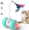 Interactive pets Toys for Indoor