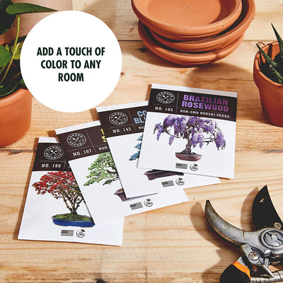 Bonsai Tree Seed Starter Kit