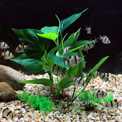 10 inch silk plants for fish tank