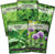 Herb Garden Seed Basil/Chives/Cilantro/Parsley/Oregano Seeds for Planting; 5 Individual Packets