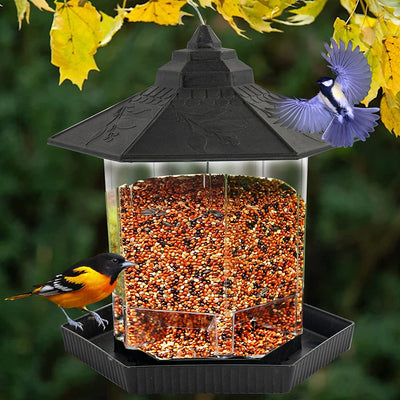 Hanging bird feeder