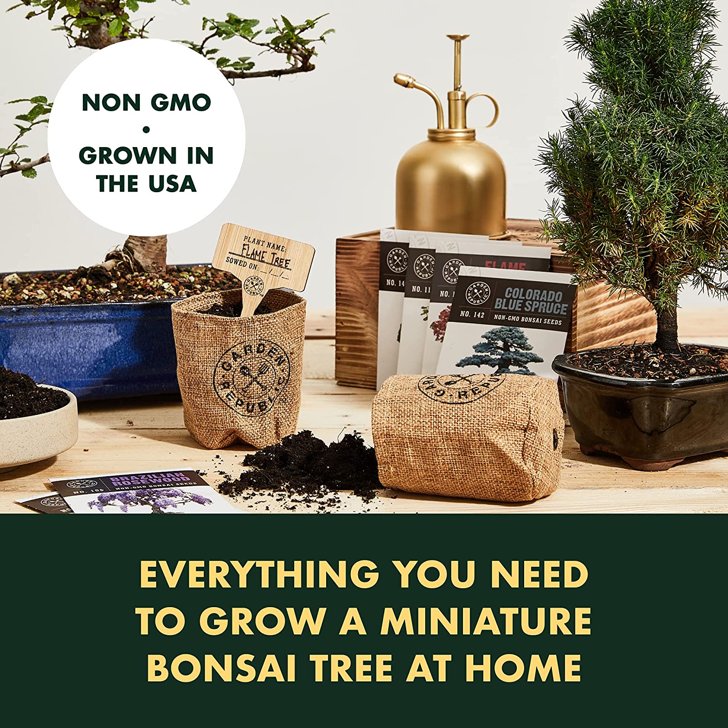 Bonsai Tree Seed Starter Kit