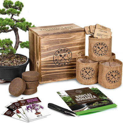 Bonsai Tree Seed Starter Kit