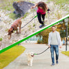 Hands-free professional pet leash with reflective stitches,green