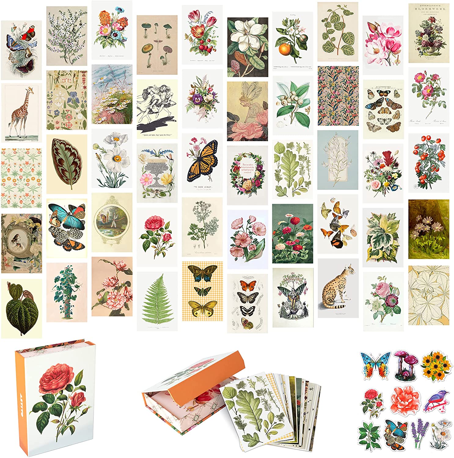 Vintage Decor Wall Collage Kit, 50 Set 4x6 inch