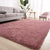 Shaggy Fluffy Area Rug for Bedroom, 3' x 5', (Blush)